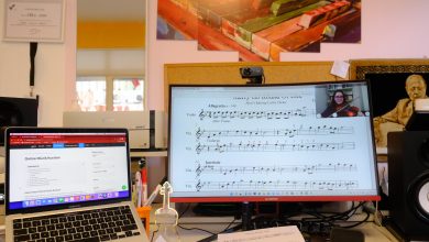 🎻Online Keman Kursu 2025