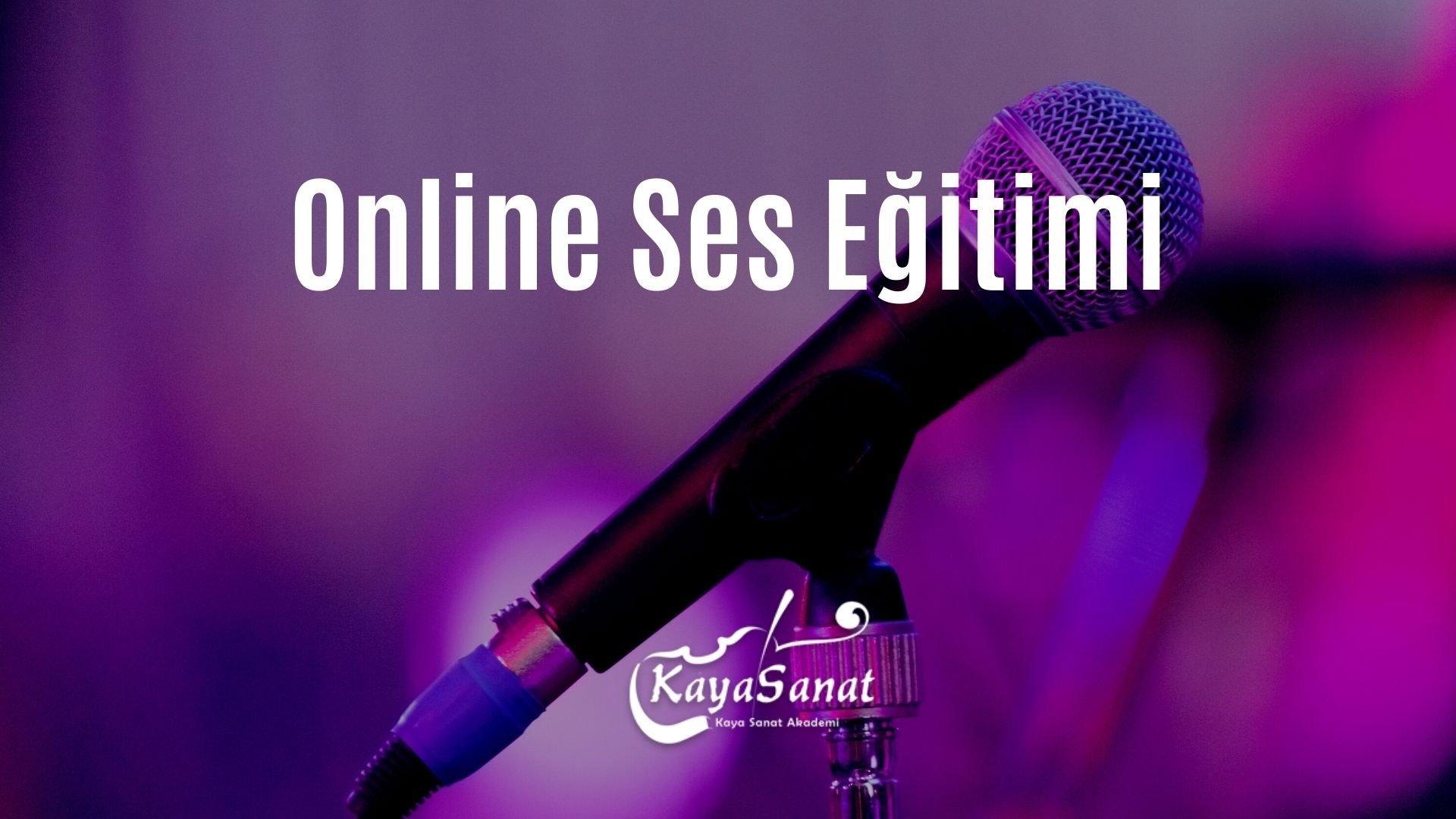 Online Ses Eğitimi