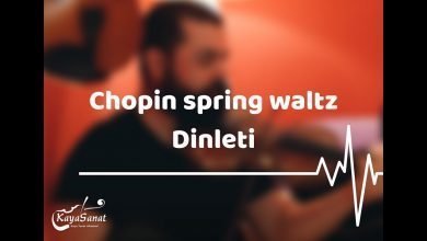 Chopin spring waltz (mariage d'amour) - Violin - Eren Kaya