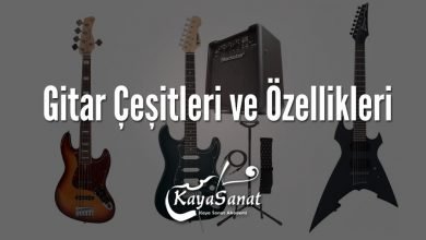 Gitar Çeşitleri ve Özellikleri