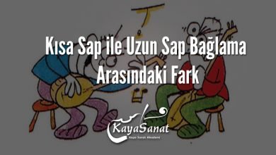 Kısa Sap ile Uzun Sap Bağlama Arasındaki Fark