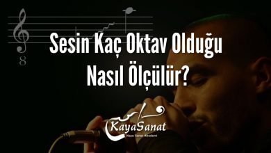 Sesin Kaç Oktav Olduğu Nasıl Ölçülür?