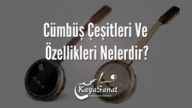 Cümbüş Çeşitleri Ve Özellikleri Nelerdir?