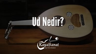 Ud Nedir?