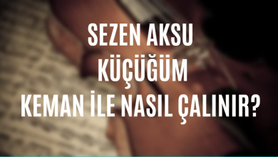 Sezen Aksu - Küçüğüm Keman İle Nasıl Çalınır?
