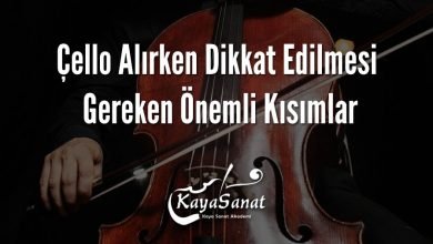 Çello Alırken Dikkat Edilmesi Gereken Önemli Kısımlar