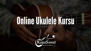 Online Ukulele Kursu