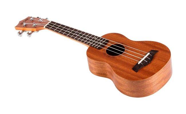 Online Ukulele Kursu