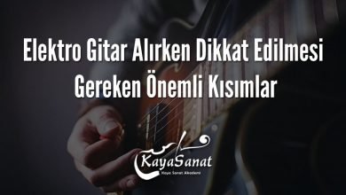 Elektro Gitar Alırken Dikkat Edilmesi Gereken Önemli Kısımlar