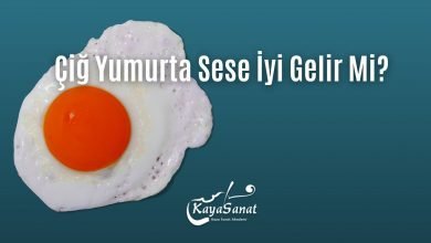 Çiğ Yumurta Sese İyi Gelir Mi?