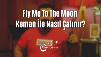 fly me toon
