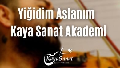 Yıldızlar altında keman notaları