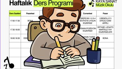 Haftalık keman Egzersiz Programı